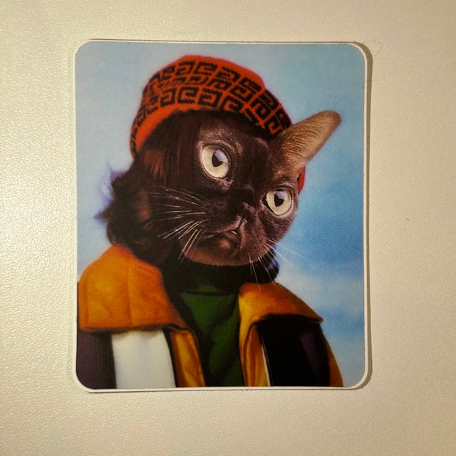 Cats | Enabling Arts Ltd