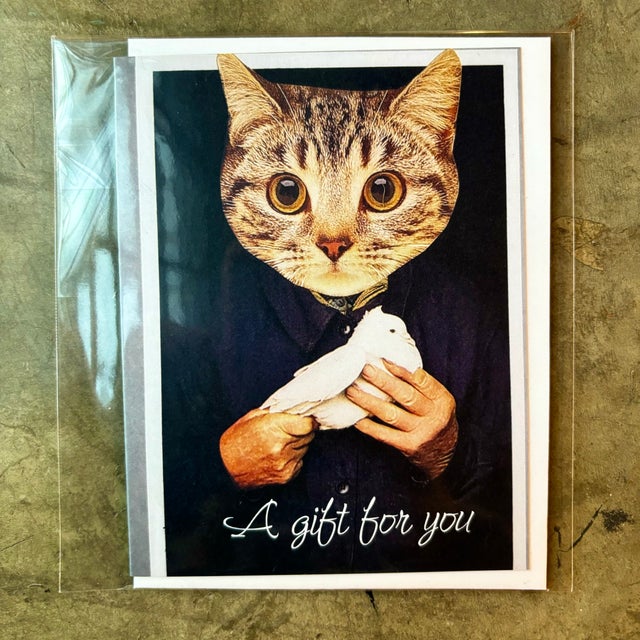 Cats | Enabling Arts Ltd